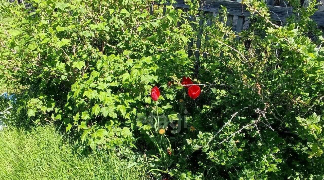 дом г Бердск снт Металлист ул Энтузиастов 127 некоммерческое товарищество садоводов фото 14