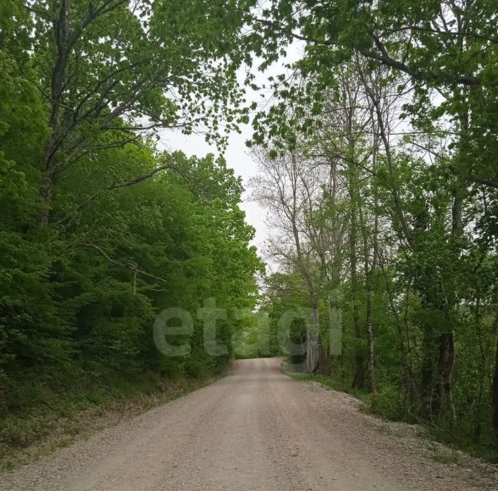 земля г Геленджик снт Уголек фото 13