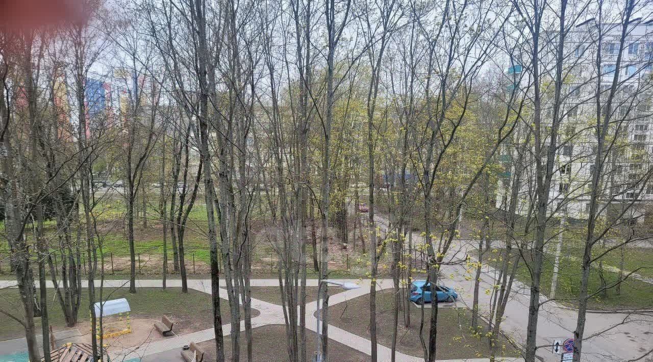 квартира г Санкт-Петербург метро Лесная р-н Пискарёвка ул Бестужевская 20к/1 фото 9
