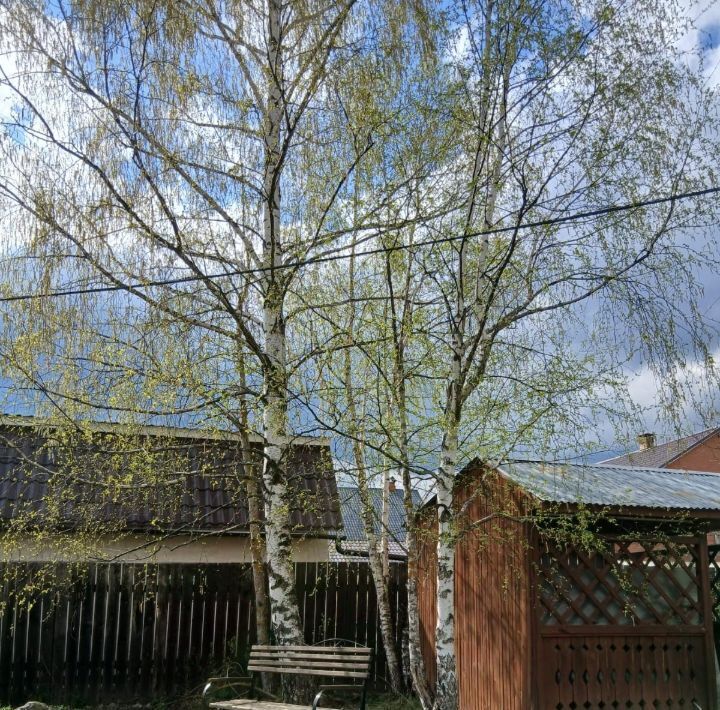 дом городской округ Богородский г Ногинск снт Альбатрос фото 28