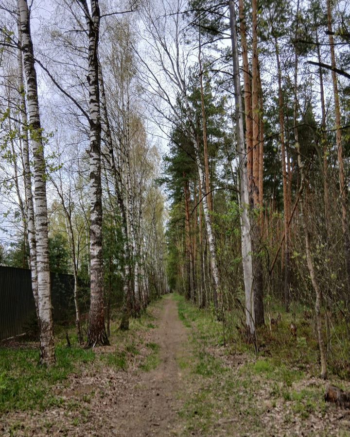 дом городской округ Богородский г Ногинск снт Альбатрос 47 км, Черноголовка, Щёлковское шоссе фото 30