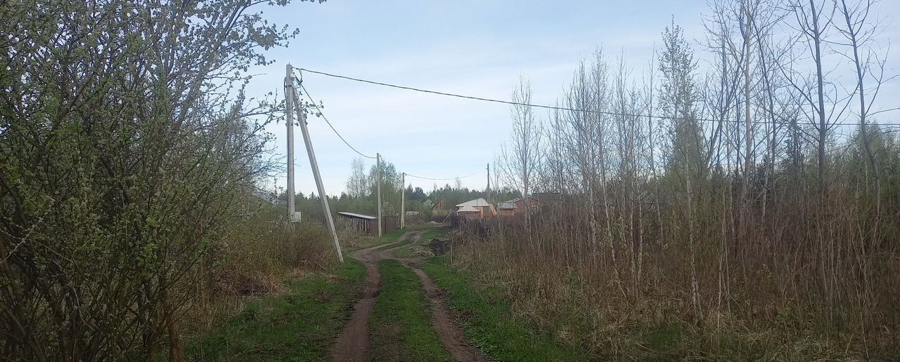 земля г Шадринск снт Радуга-2 фото 1