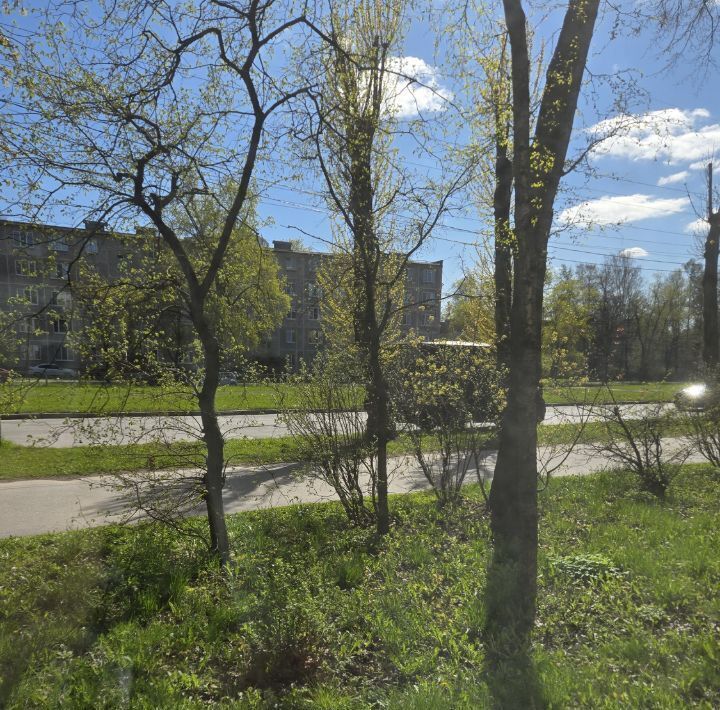квартира г Санкт-Петербург метро Пролетарская ул Шелгунова 15 округ Обуховский фото 18