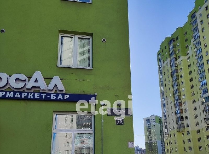 квартира г Санкт-Петербург метро Девяткино дор Муринская 78 округ Полюстрово фото 23