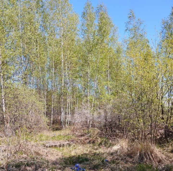 земля г Комсомольск-на-Амуре поселок Малая Хапсоль 1 фото 29