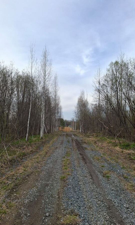 земля г Томск п Родионово р-н Советский фото 3