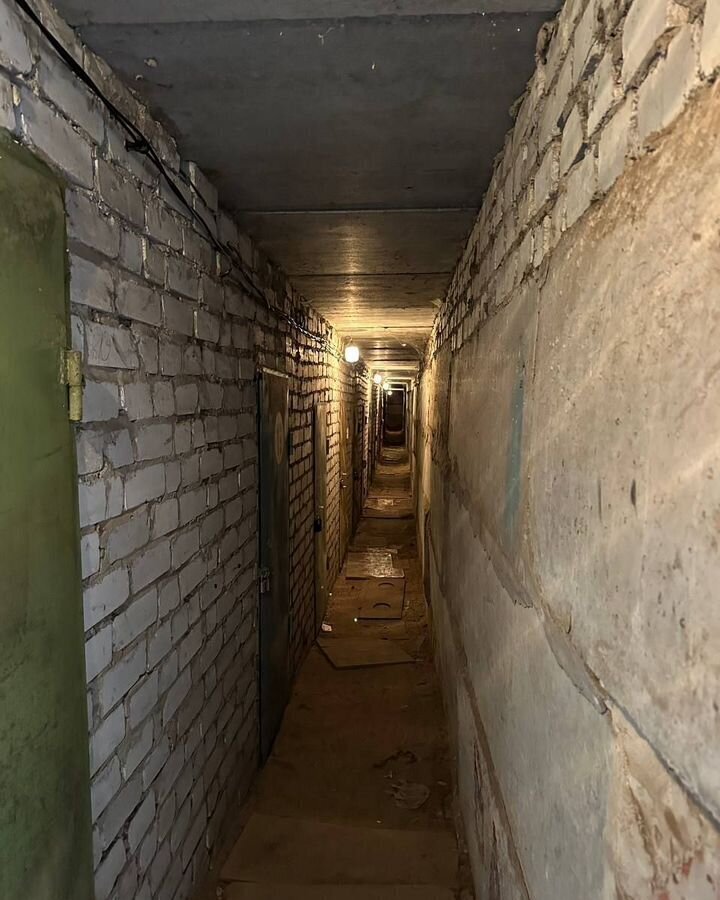 гараж г Воронеж р-н Железнодорожный территория потребительского гаражно-строительного кооператива Рубин-1 Остужева фото 5