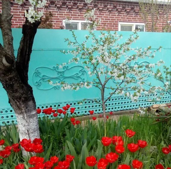 комната г Краснодар р-н Прикубанский микрорайон 9-й километр ул им. Грибоедова 5 фото 8