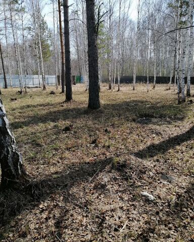 снт Искатель ул Береговая фото