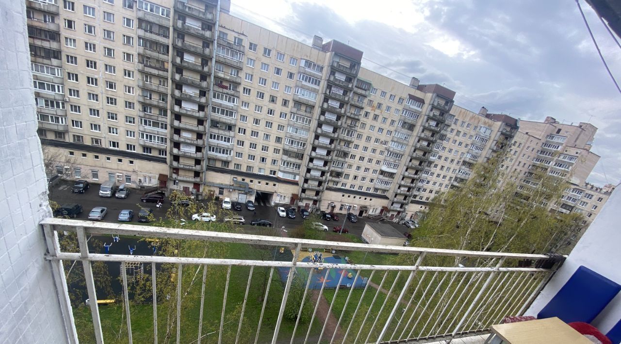 квартира г Санкт-Петербург метро Проспект Большевиков ул Подвойского 24к/2 округ Оккервиль фото 3