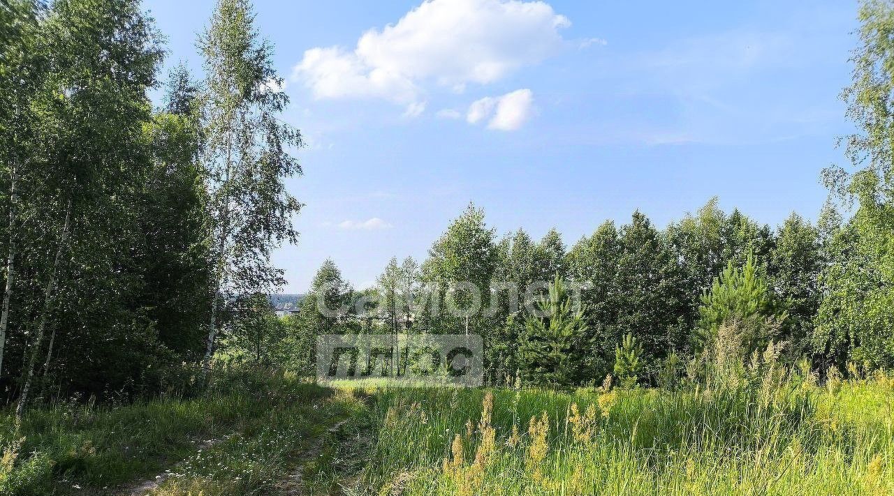 земля г Нижний Новгород д Новая фото 5