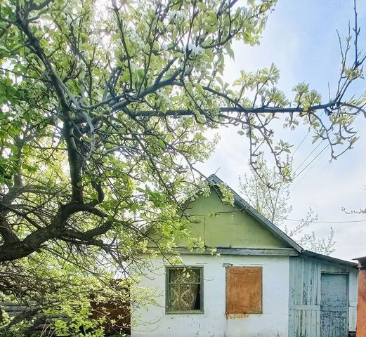 р-н Правобережный сад Дружба 24 фото