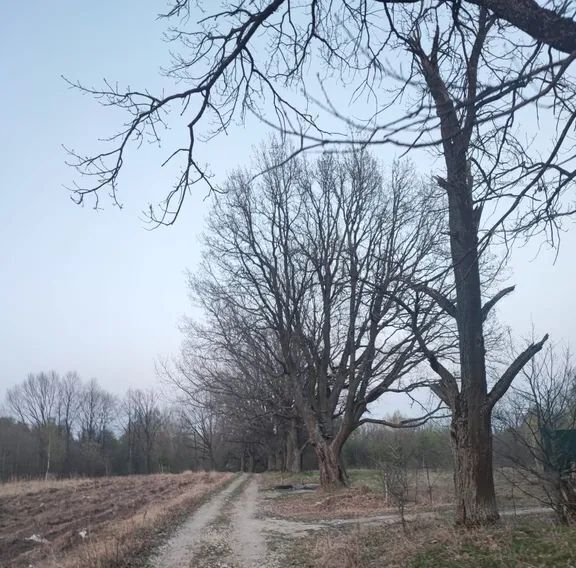 дом г Лосино-Петровский д Савинки 3А фото 20