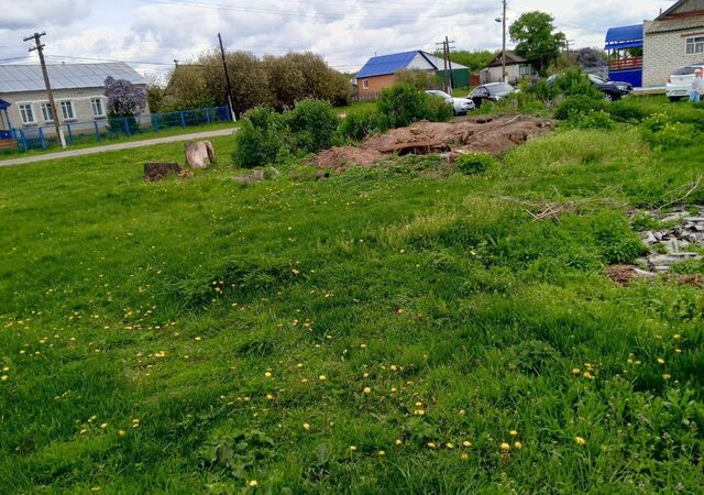 ул Центральная 28 Лебяжинское сельское поселение, Димитровград фото