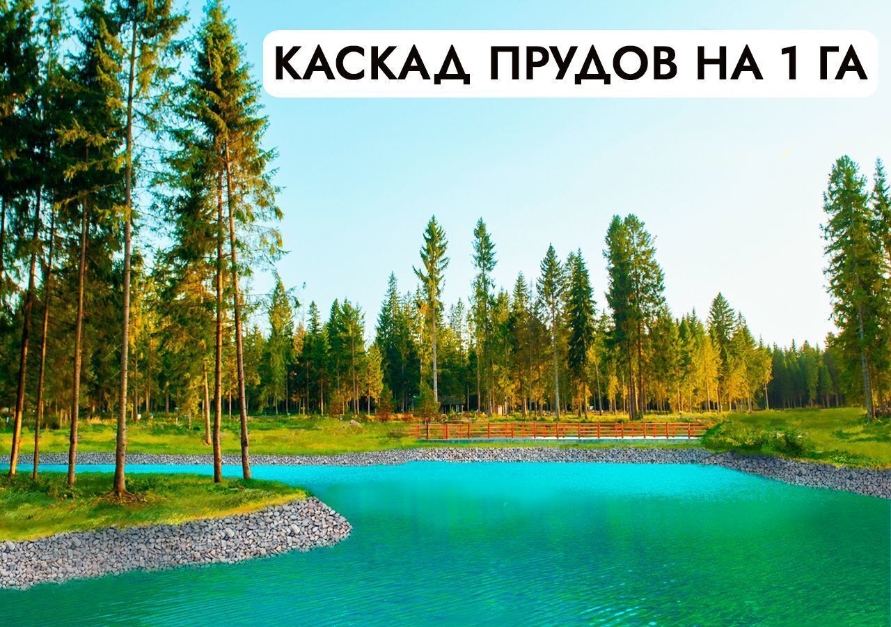 земля г Истра Павловская Слобода, 23 км, территория ДЗ Шервуд, Минское шоссе фото 13