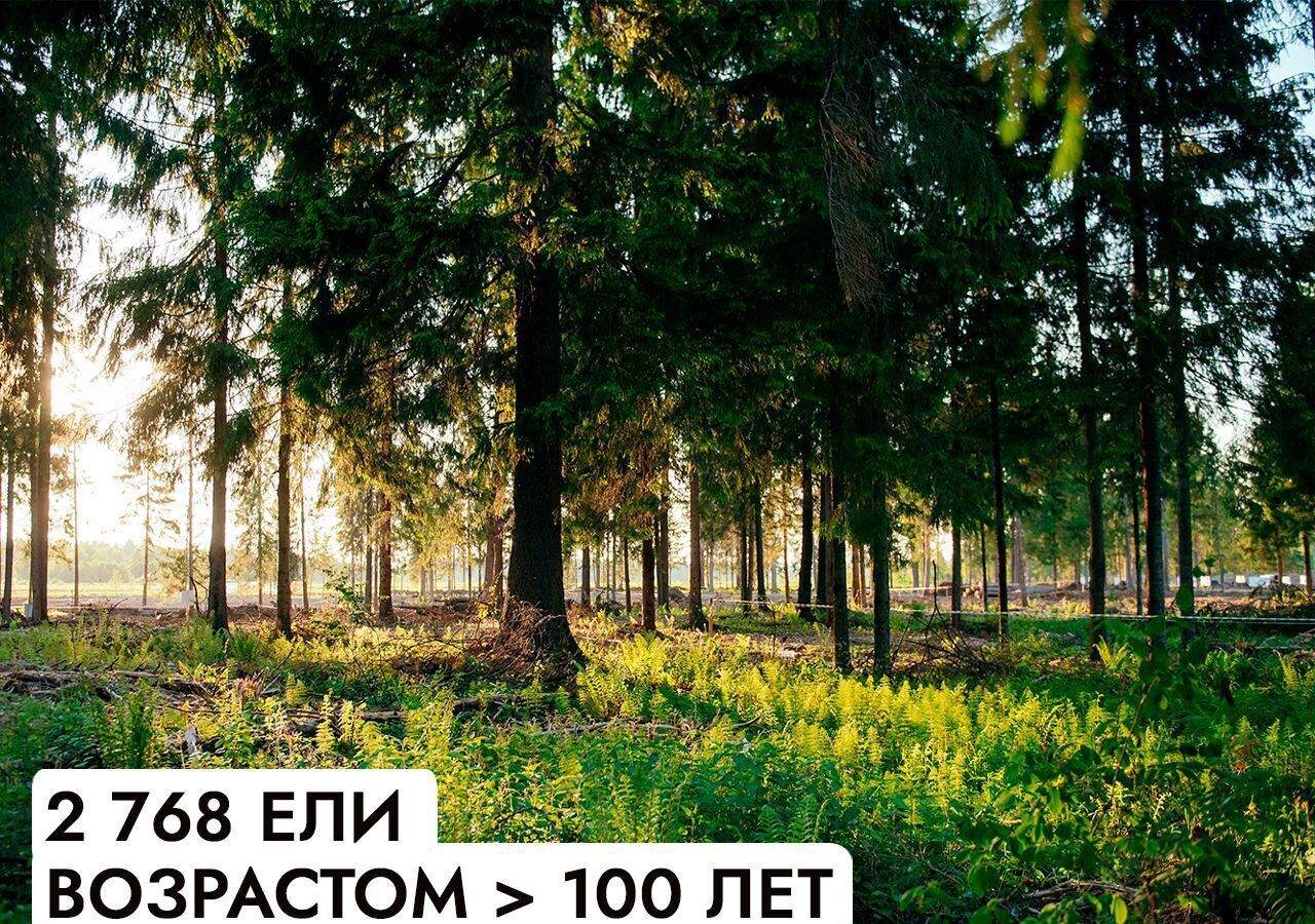 земля г Истра Павловская Слобода, 23 км, территория ДЗ Шервуд, Минское шоссе фото 10