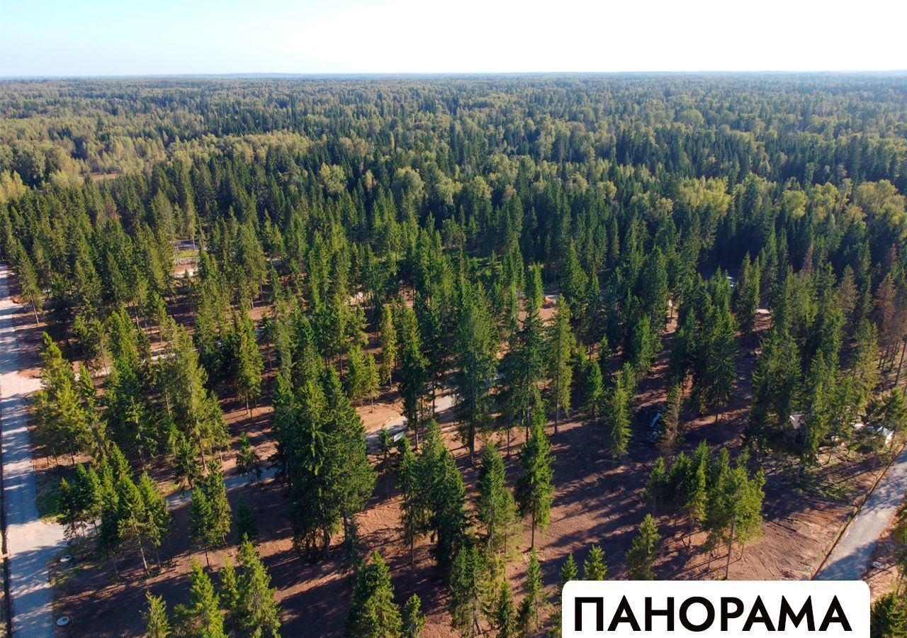 земля г Клин 54 км, эко-посёлок Ели эстейт, Новопетровское, Ленинградское шоссе фото 16