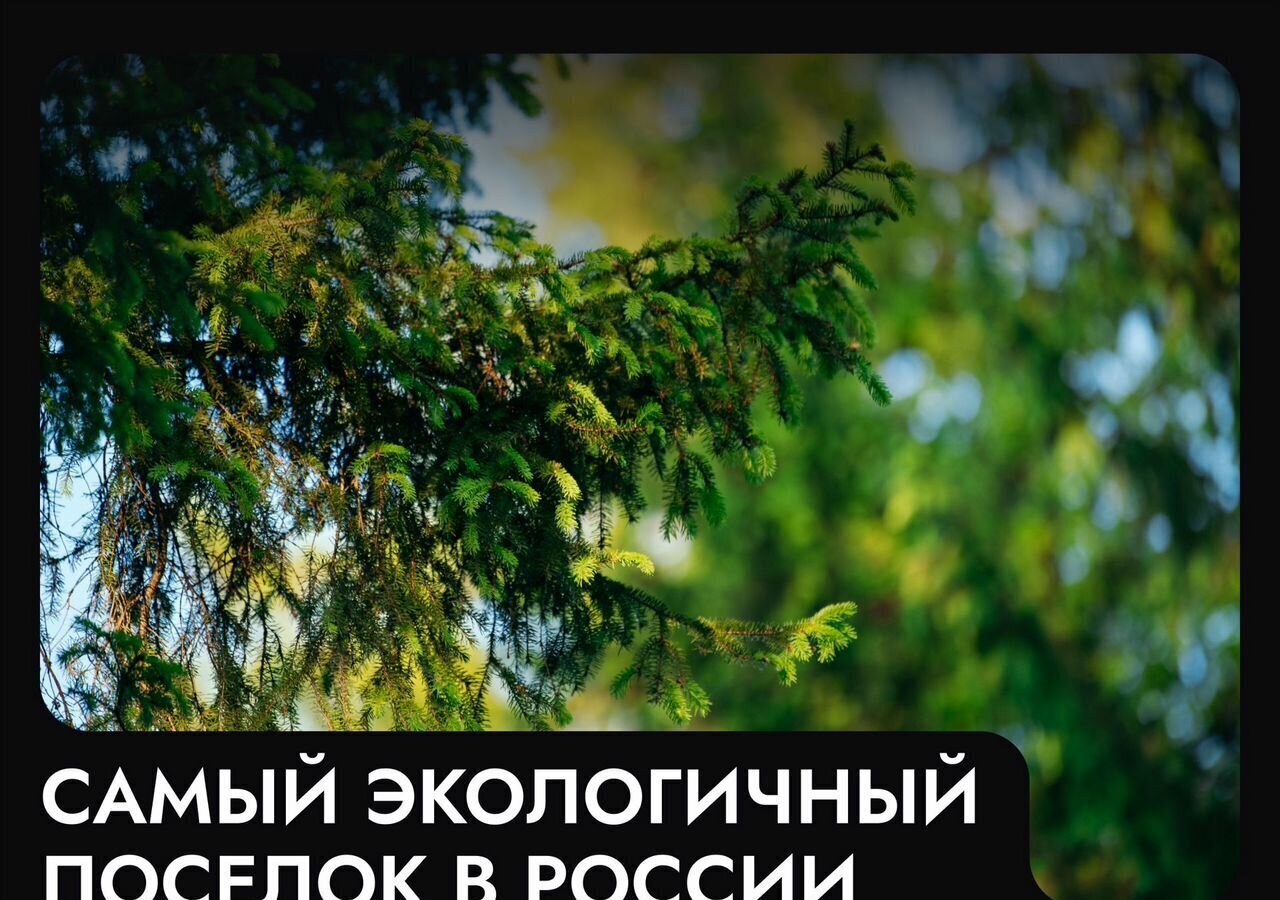 земля г Клин 54 км, эко-посёлок Ели эстейт, Новопетровское, Ленинградское шоссе фото 36