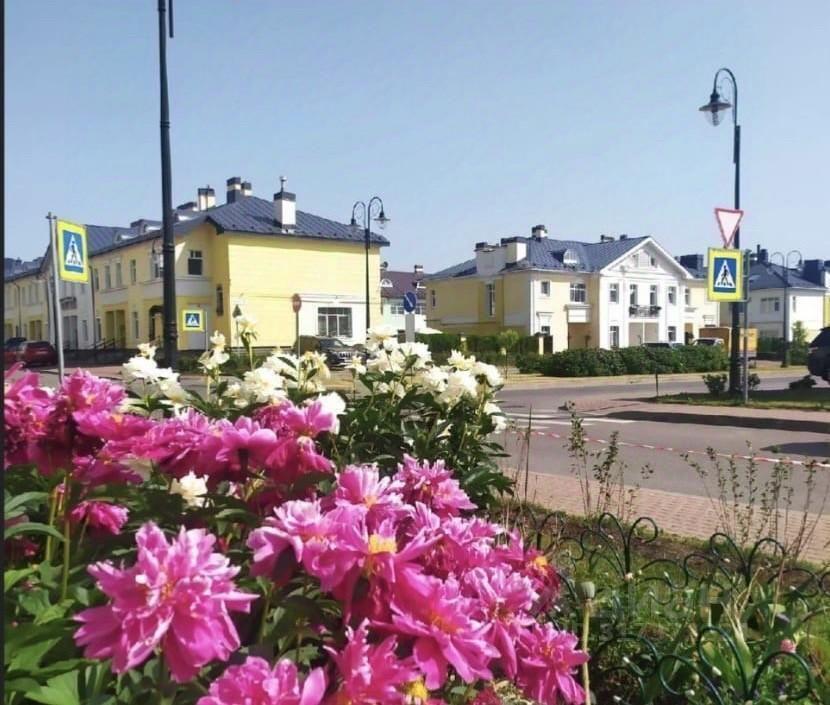 квартира г Пушкин Гуммолосары ЖК «Александровский» р-н Пушкинский Пушкин, Анциферовская улица, 11 к 2 с 1, Ленинградская область фото 1