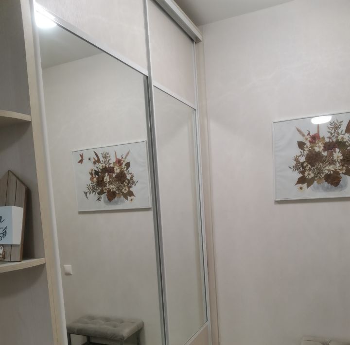 квартира г Новосибирск Заельцовская пр-кт Красный 313 фото 8