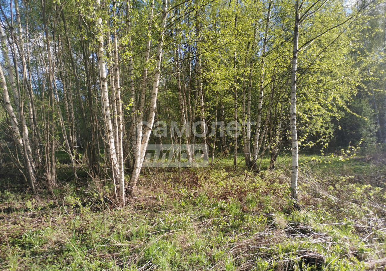 земля р-н Чкаловский г Чкаловск фото 4