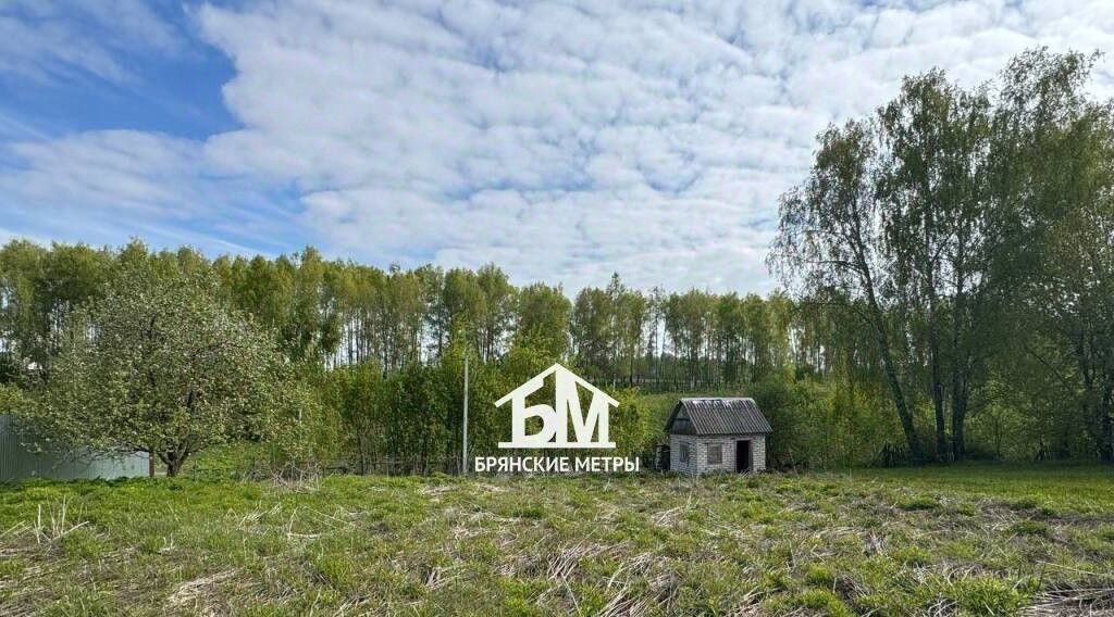 земля г Фокино Мичуринское с/пос, СДТ, 157, Брянский район, Мичуринец фото 2