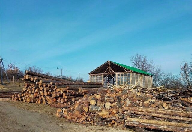 муниципальное образование, Саратов фото