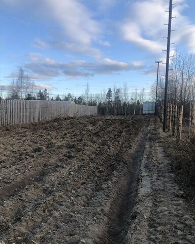земля Тюменская обл. фото