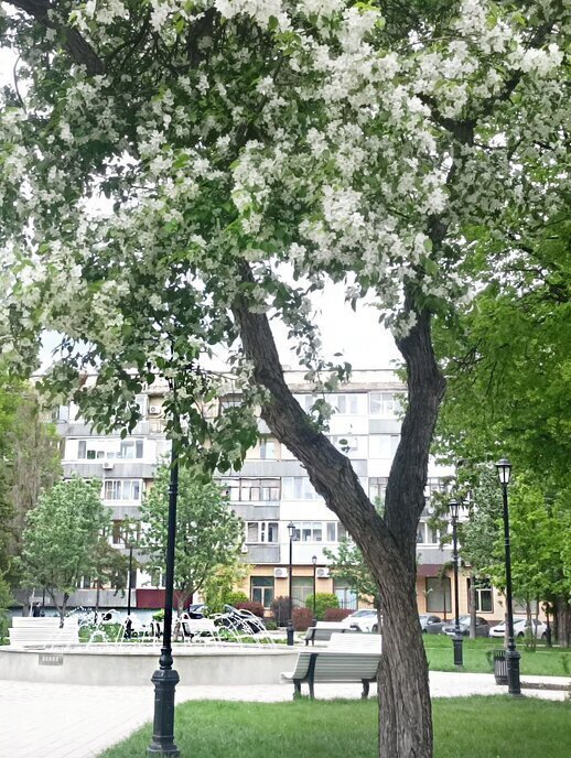 квартира г Самара Безымянка пер Штамповщиков 1 фото 27