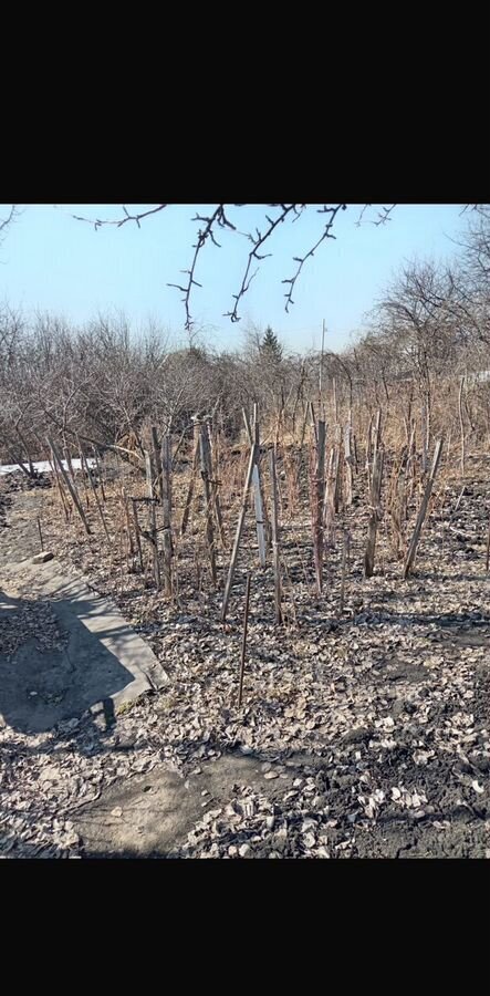 дом г Ульяновск р-н Ленинский снт тер.Черничка 10-я ул фото 10