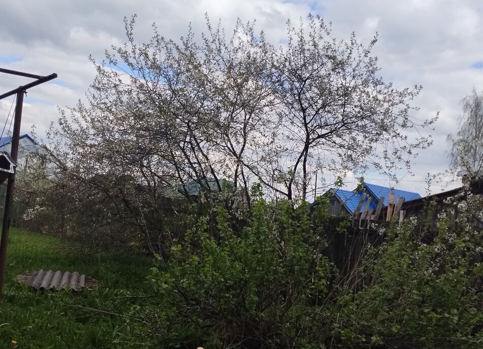 дом р-н Вичугский г Вичуга ул Абрамовой 29 фото 10