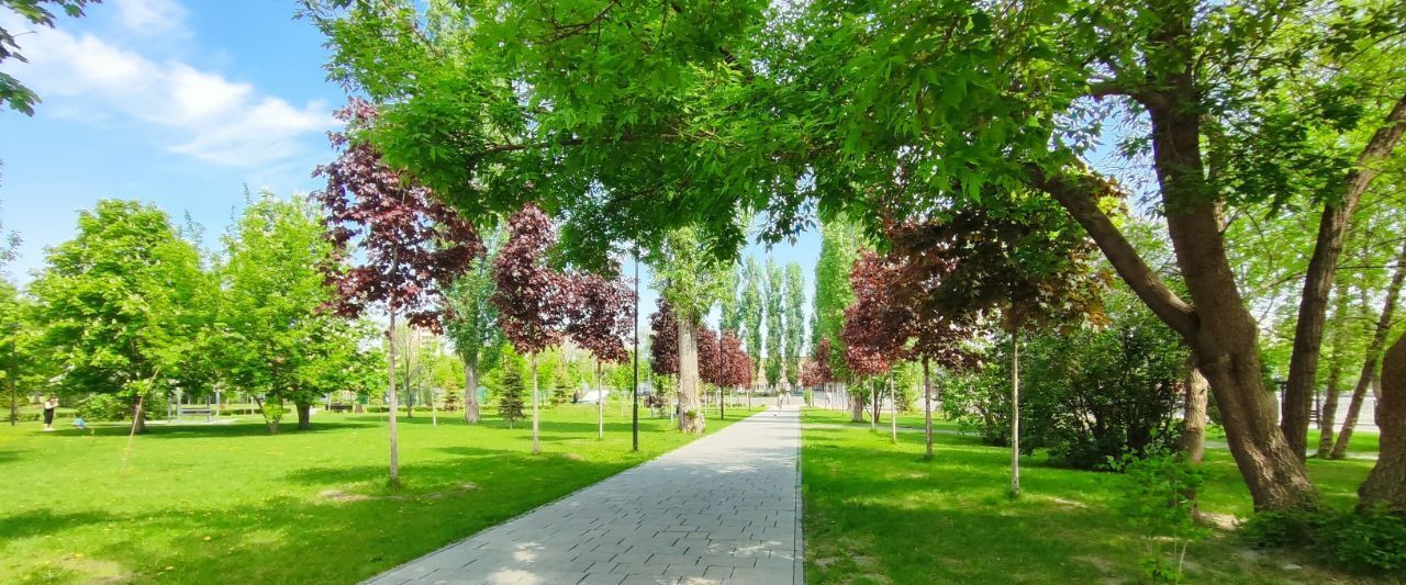квартира г Саратов р-н Заводской ул Крымская 16/24 фото 13
