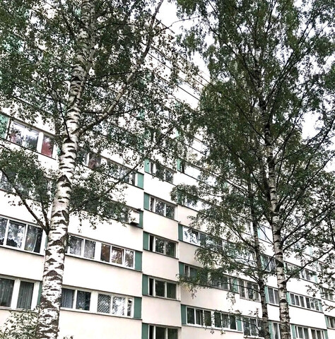 Северный ул Демьяна Бедного 32/1 фото