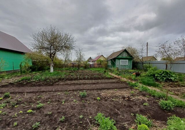 снт Дружба Николо-Берёзовский сельсовет фото