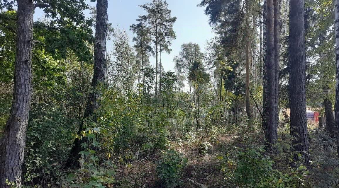 земля г Балашиха д Дятловка Купавна Вилладж кп, Железнодорожная фото 4
