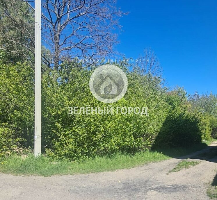 земля г Пионерский снт Ягодка фото 1