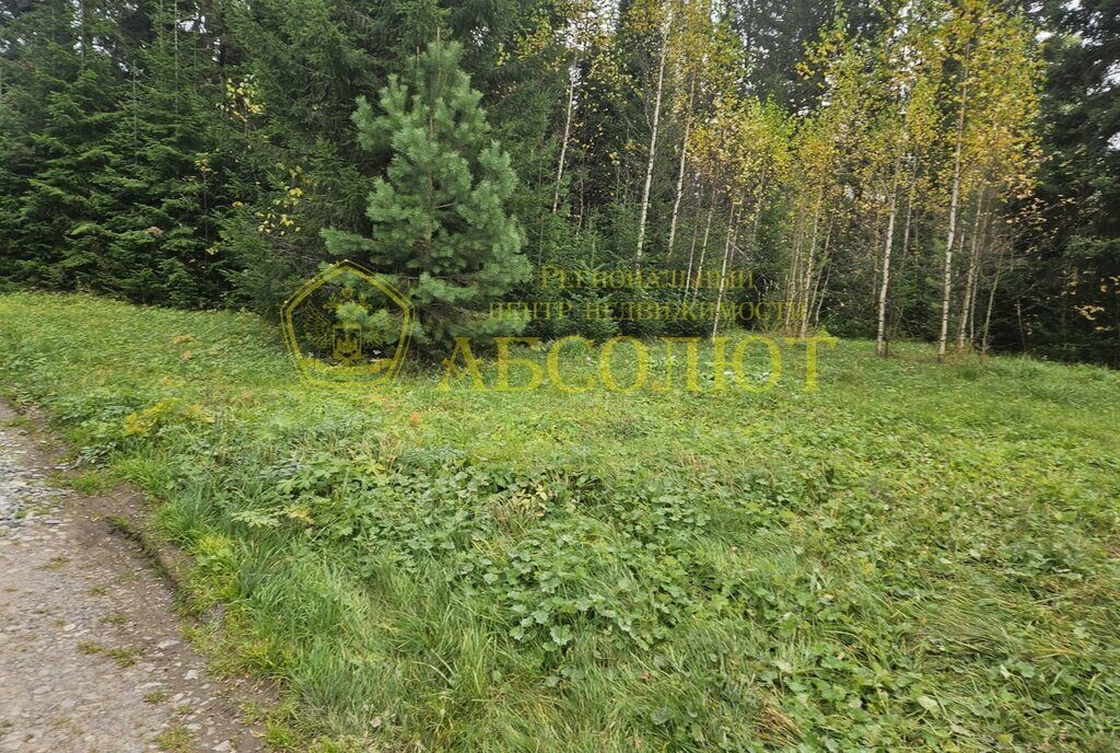 земля г Ревда п Гусевка ул Пихтовая фото 1