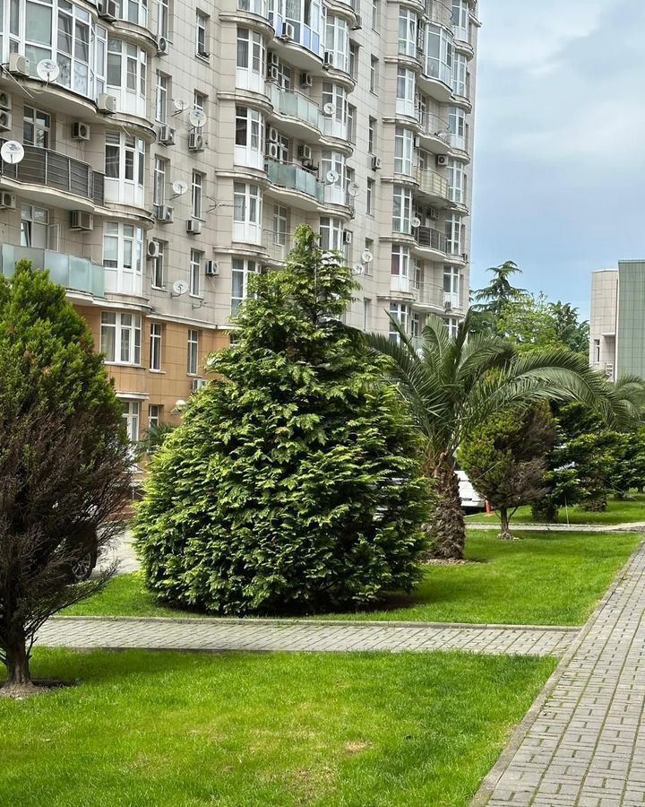 торговое помещение г Сочи р-н Адлерский ул Тюльпанов 41к/9 ЖК «Сириус» федеральная территория Сириус фото 6