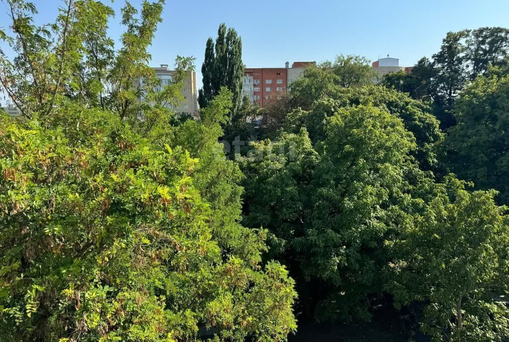 квартира г Ставрополь ул Ленина 272а фото 14