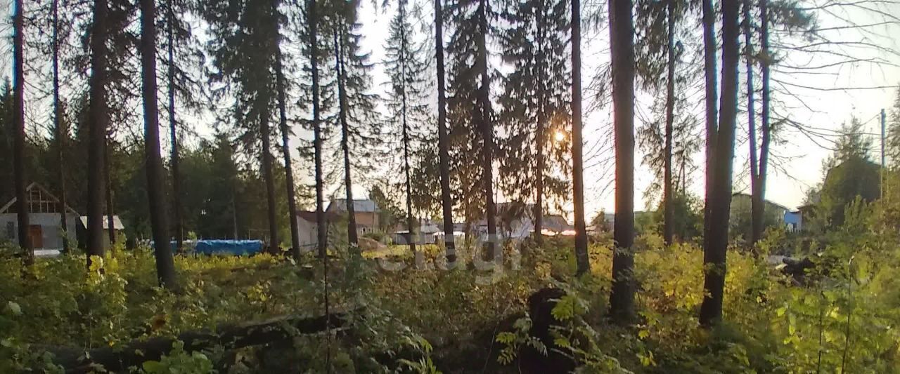 земля г Сыктывкар пгт Краснозатонский ул Хвойная 65/1 фото 8