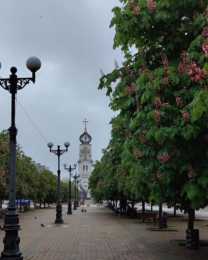 комната г Новороссийск р-н Центральный наб Имени Адмирала Серебрякова 57 фото 10