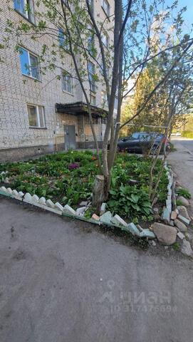 пр-кт Героев 22 Сосновоборский городской округ, 8 Микрорайон фото