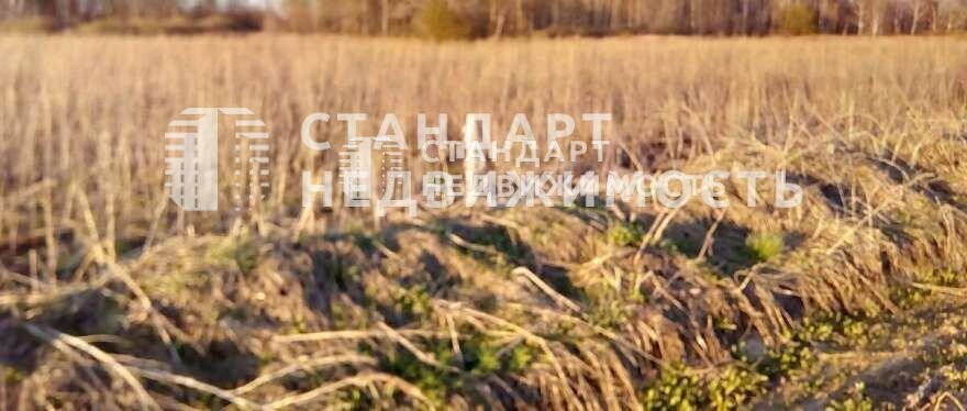 земля г Тюмень ул Григория Алексеева фото 3