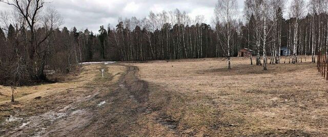 д Савинки снт Савинки фото