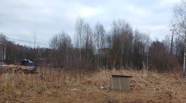 снт Турейка-2 Наро-Фоминский городской округ фото