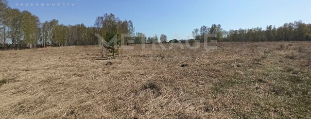 садовое товарищество Ветеран фото