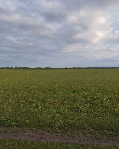 п Смычка Средняя Елюзань фото