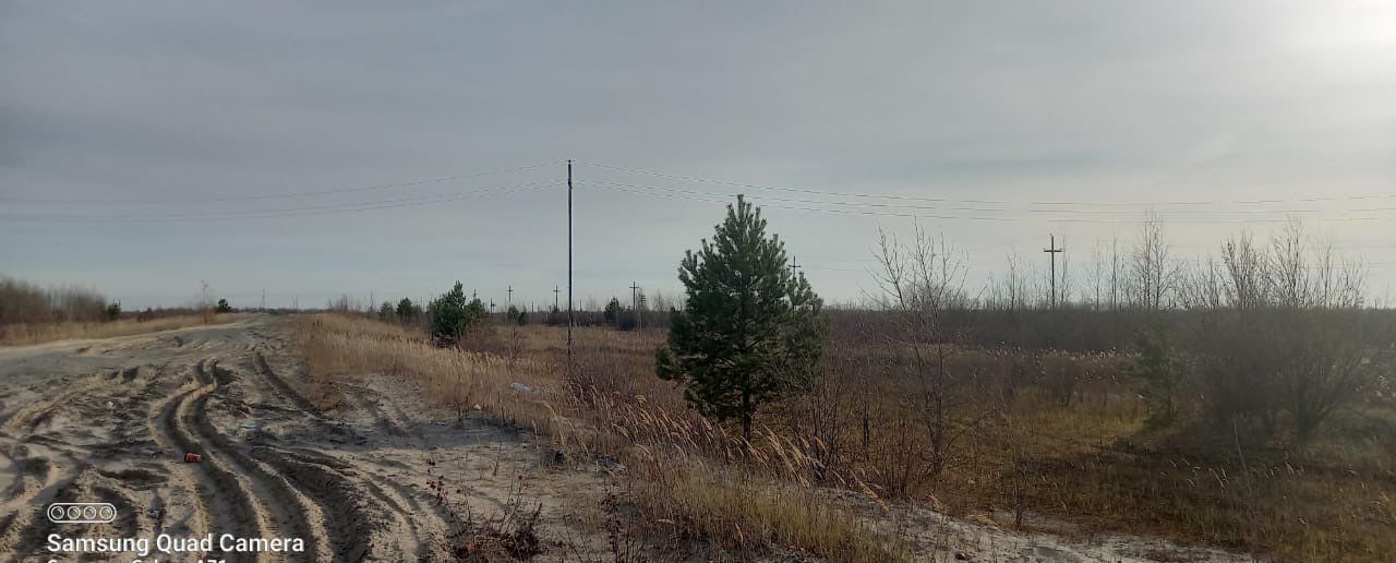 земля г Нефтеюганск Тюменская обл. фото 4