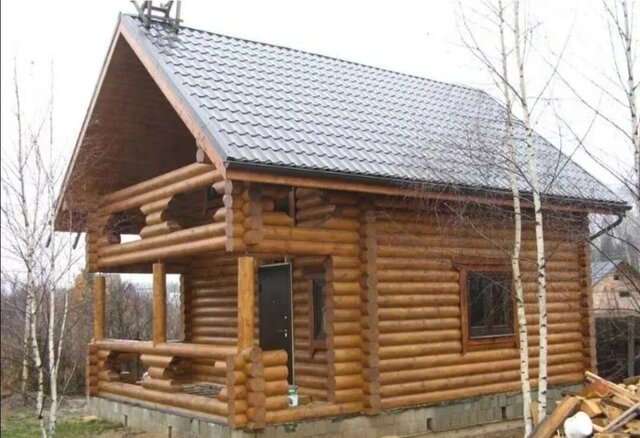 сад Новослободское Буревестник фото