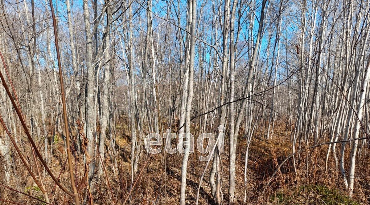 земля г Южно-Сахалинск с Санаторное фото 1